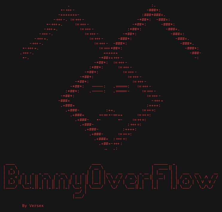 Buffer Overflow Script: BunnyOverflow